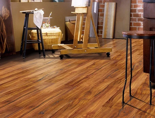 Eco-friendly and stain-resistant vinyl flooring options for pets and families in Providence Rhode Island